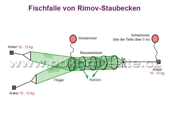 Bild von Fischfalle von Rimov-Staubecken, Ring 0,6 m