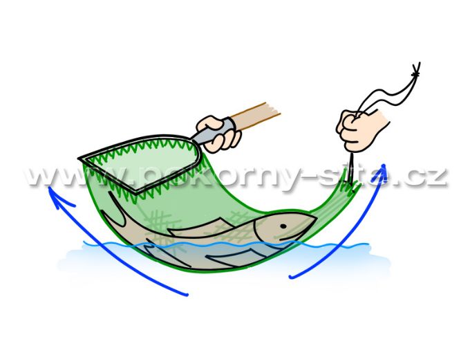 Bild von Kescher D-Form - Komplet mit Bügel dient zum Tragen grosser Fischen