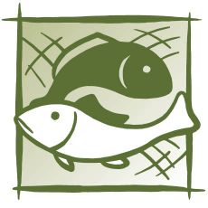 Zeige Produkte für Kategorie Fischnetze Bild für Kategorie Fischnetze